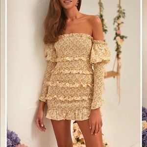 Alamour the Label shirred mini dress NWT